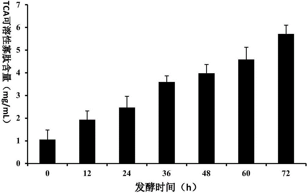 Preparation method for abalone fermentation product having thrombolytic antihypertensive function