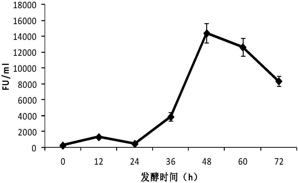 Preparation method for abalone fermentation product having thrombolytic antihypertensive function