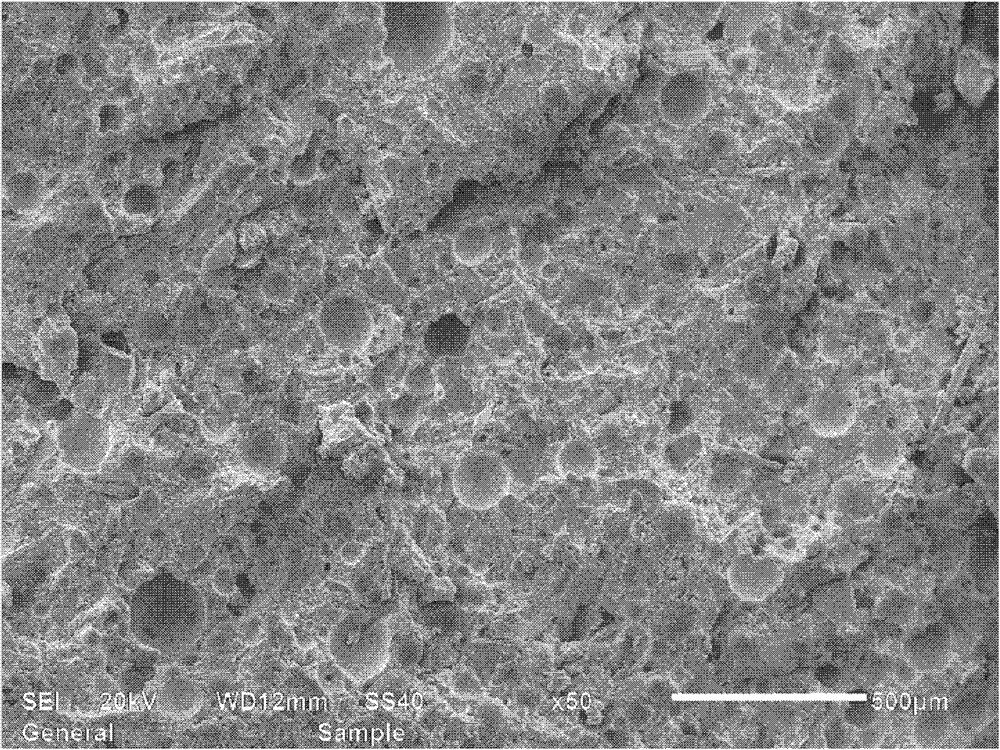 Inorganic insulation coating for large dam surface, and preparation method thereof