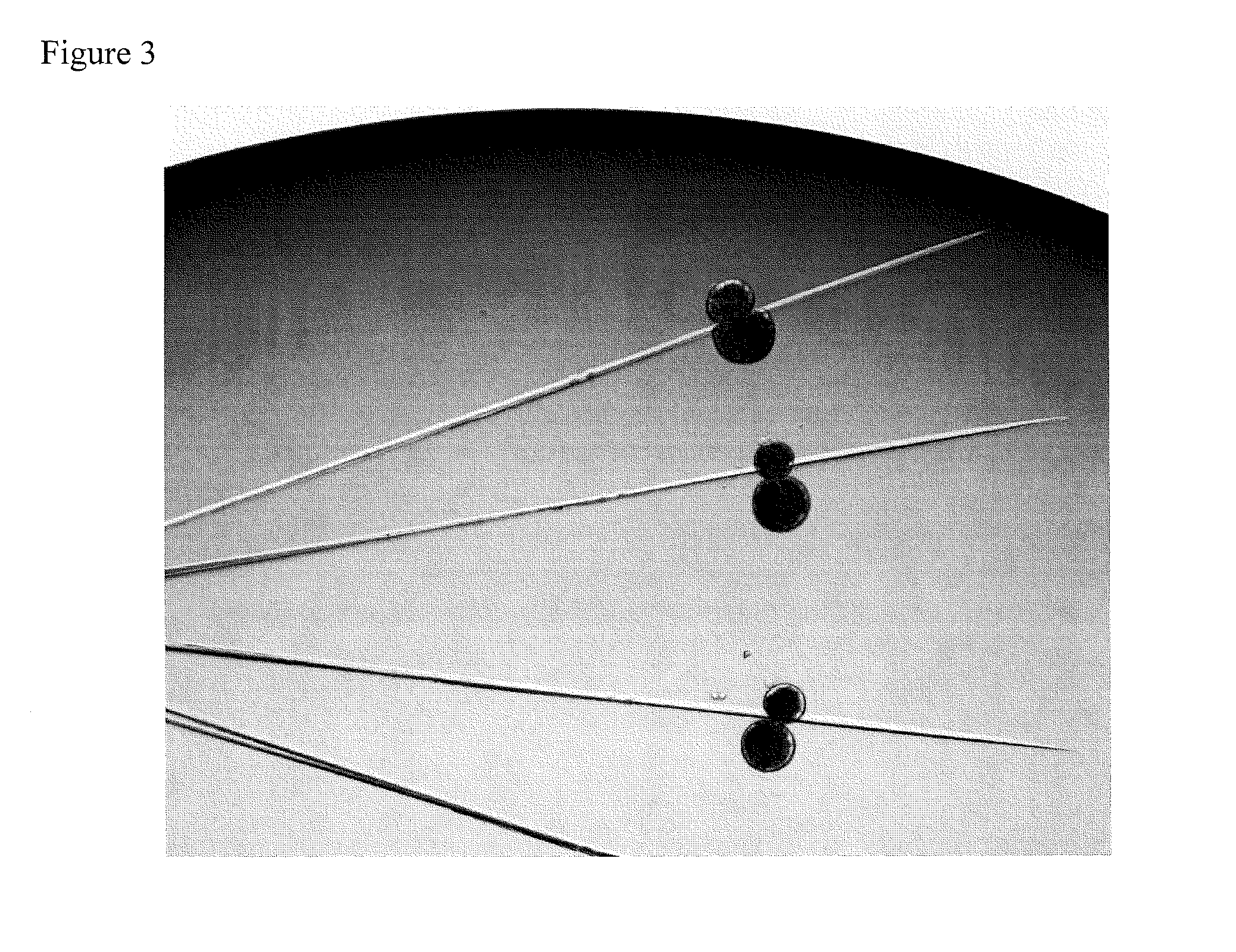 Pig model for breast cancer, mitochondria related protein folding disorders and/or epidermolysis bullosa simplex