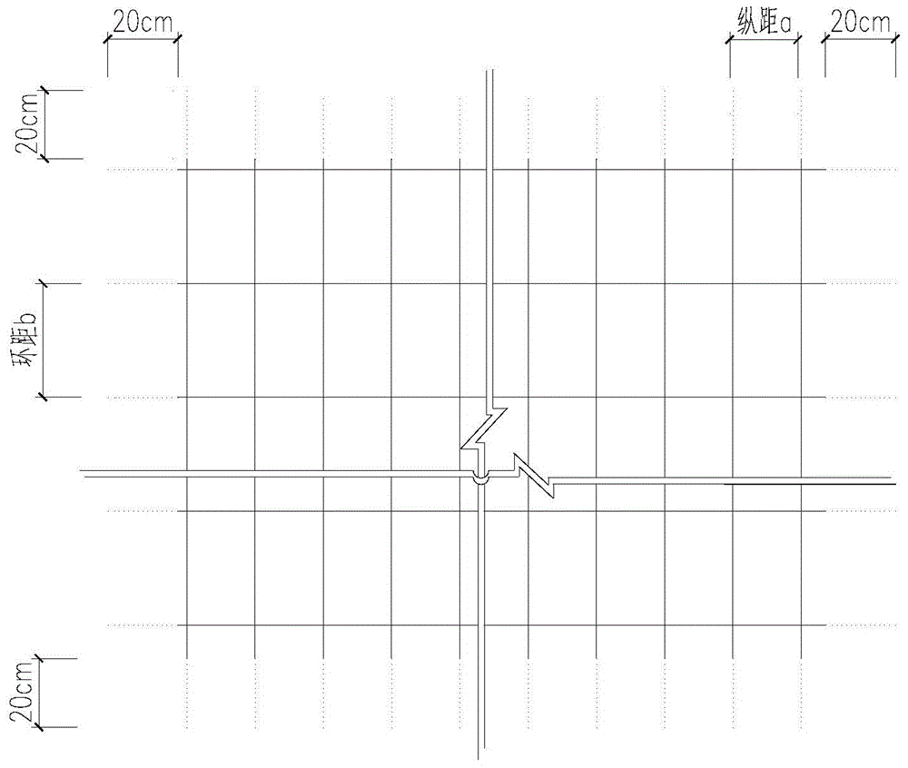 Skylight-forming lining structure repair method for tunnels