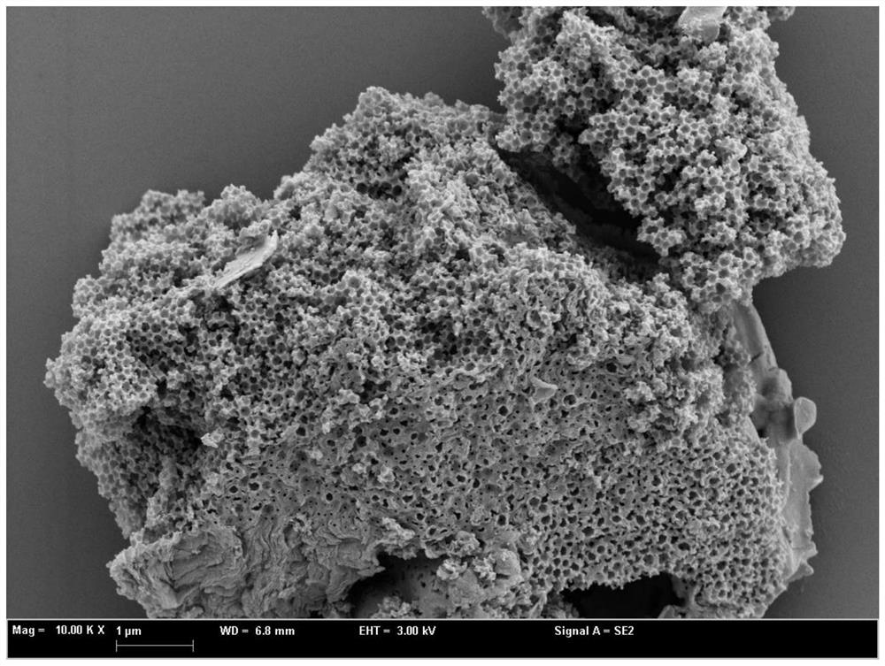 Carbon nitride composite catalyst with porous structure as well as preparation method and application of carbon nitride composite catalyst