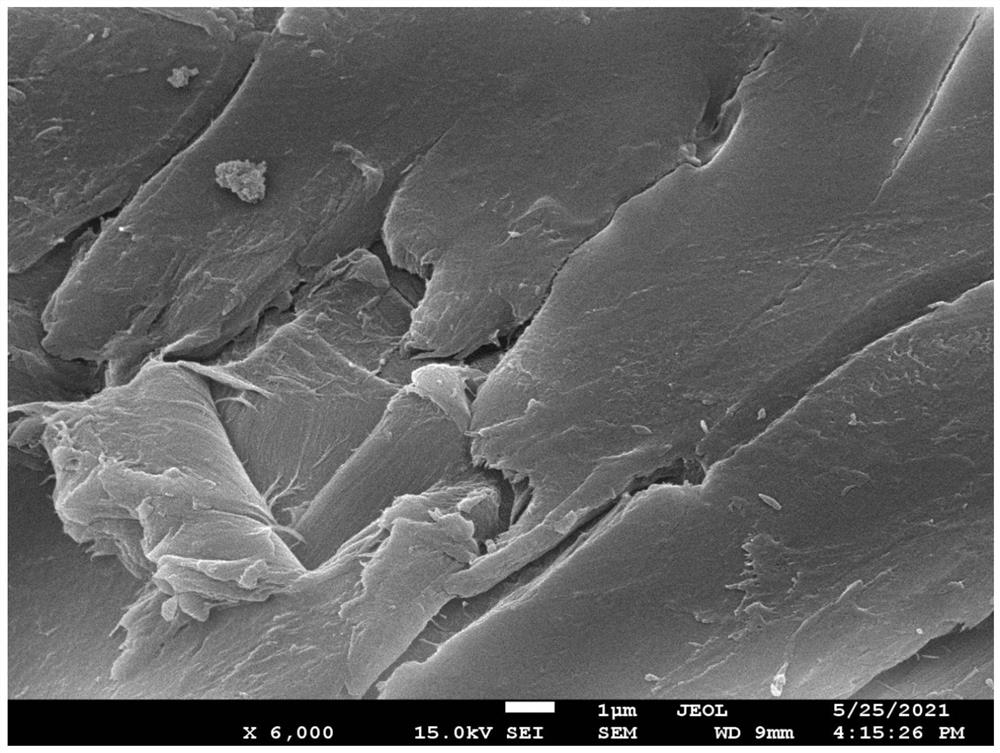 Carbon nitride composite catalyst with porous structure as well as preparation method and application of carbon nitride composite catalyst