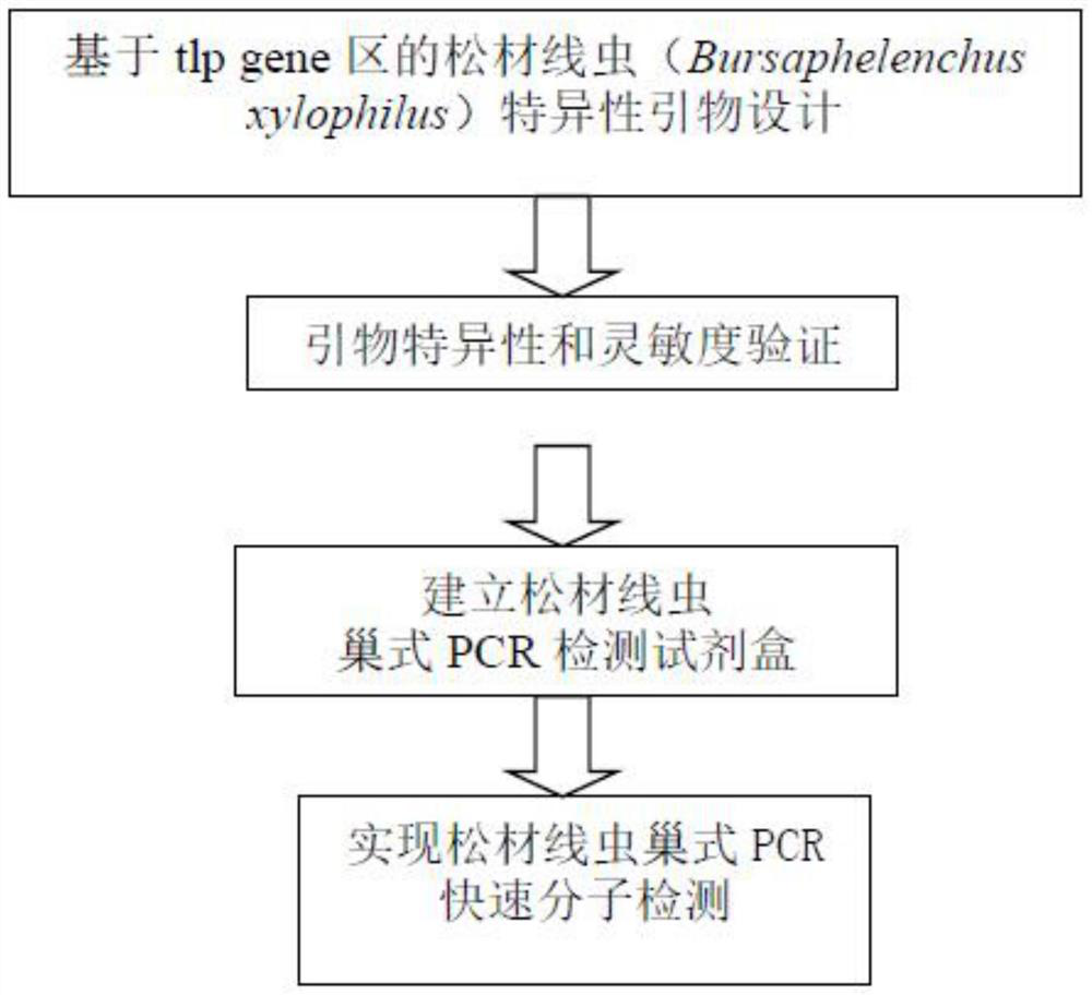 Nested PCR detection kit for pine wood nematode disease and use method thereof