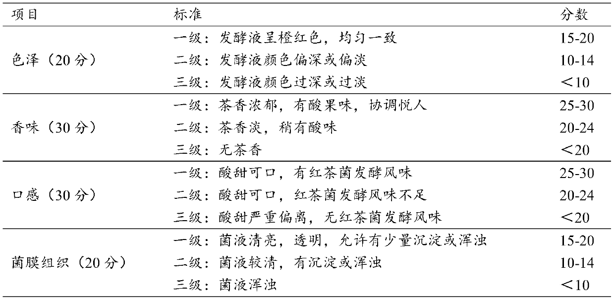 Fermented bacillus coagulans and jasmine tea compound beverage and preparation method thereof