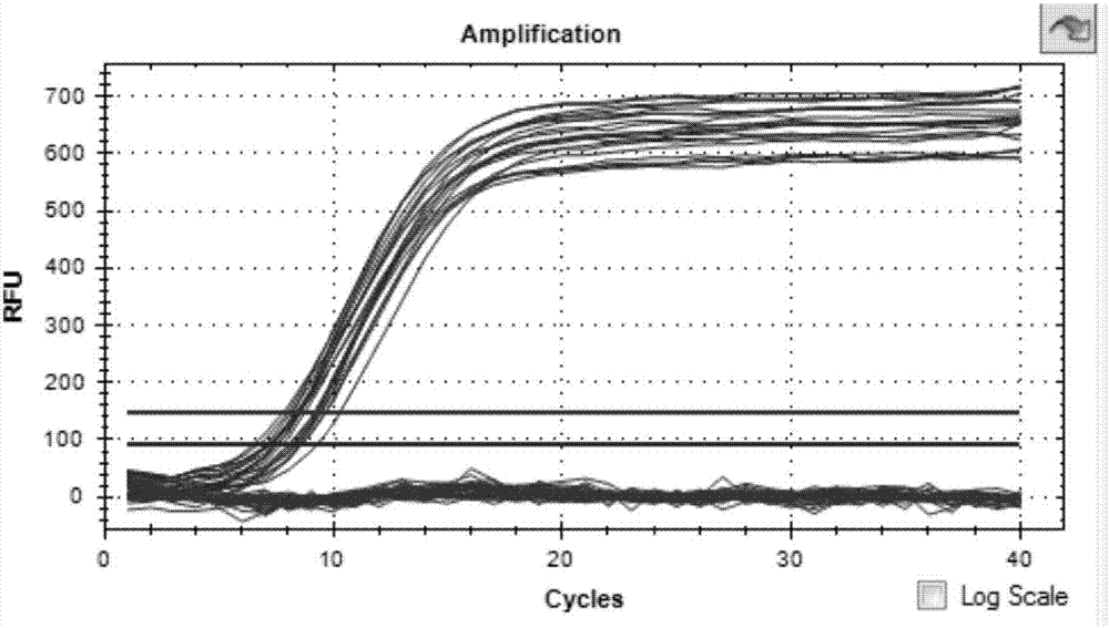 PCR primer group, probe and kit and detection method for detecting HIV (human immunodeficiency virus)-1 2-LTR DNA