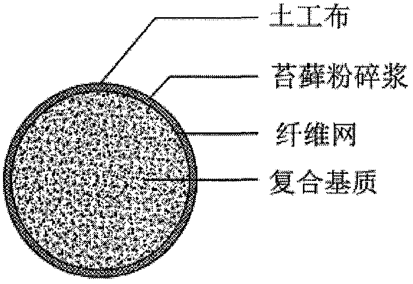 Ecological net for restoring vegetation on steep cliffs and preparation method thereof