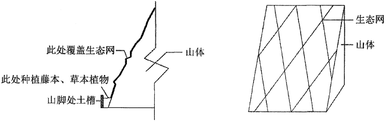 Ecological net for restoring vegetation on steep cliffs and preparation method thereof