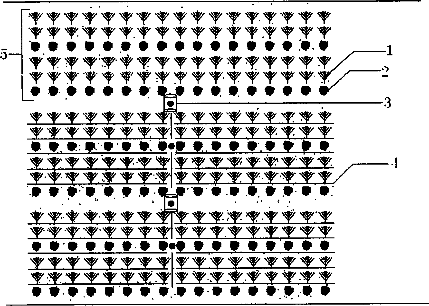 Rainwater collection and water-saving irrigation pollution control system and method for sloping field