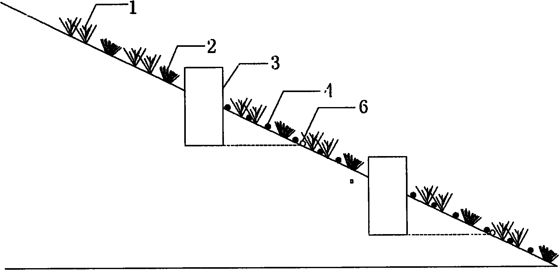 Rainwater collection and water-saving irrigation pollution control system and method for sloping field