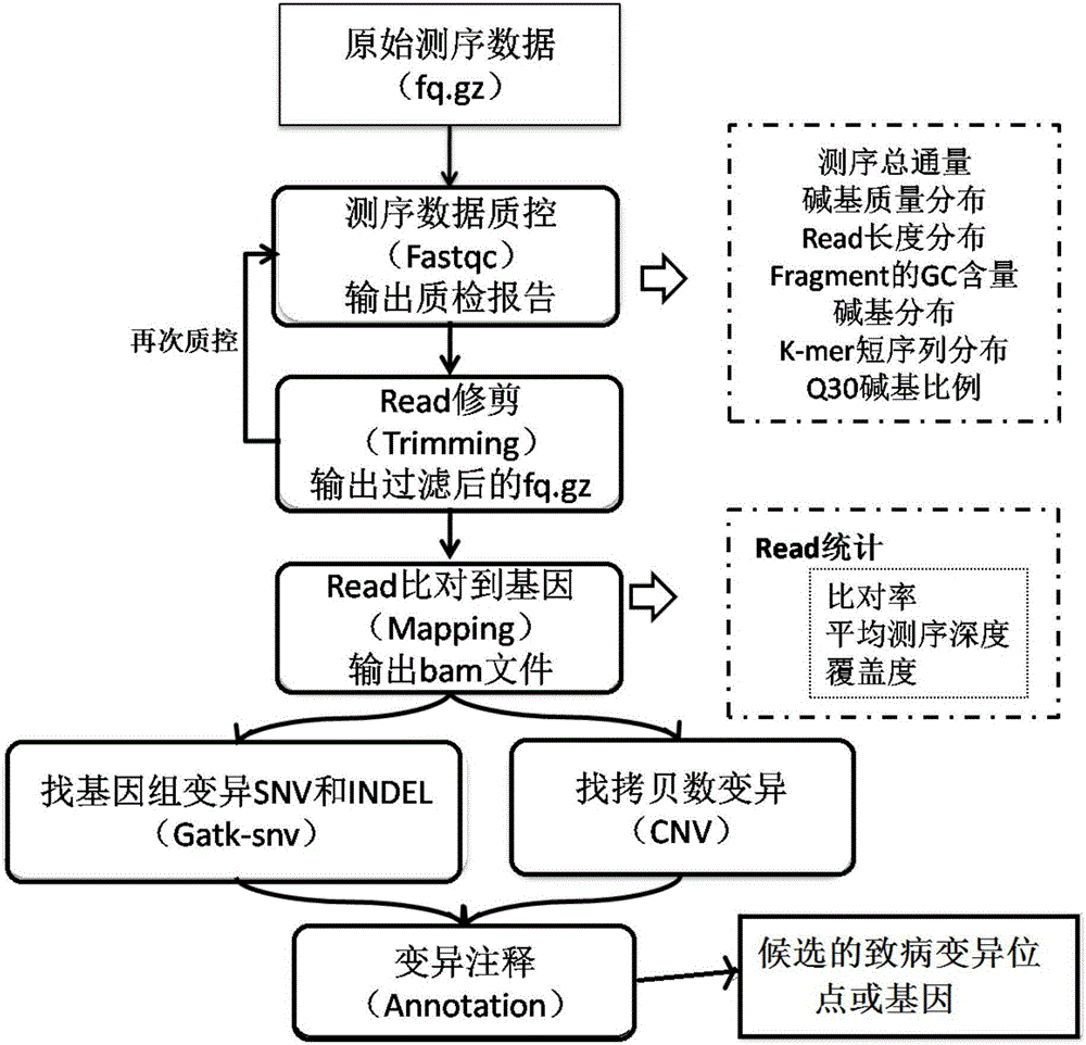 Whole-exome sequencing data analysis system