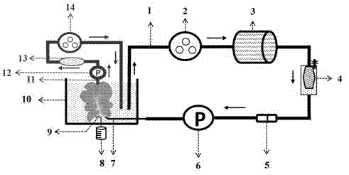 Liver oxygen-carrying mechanical perfusion device