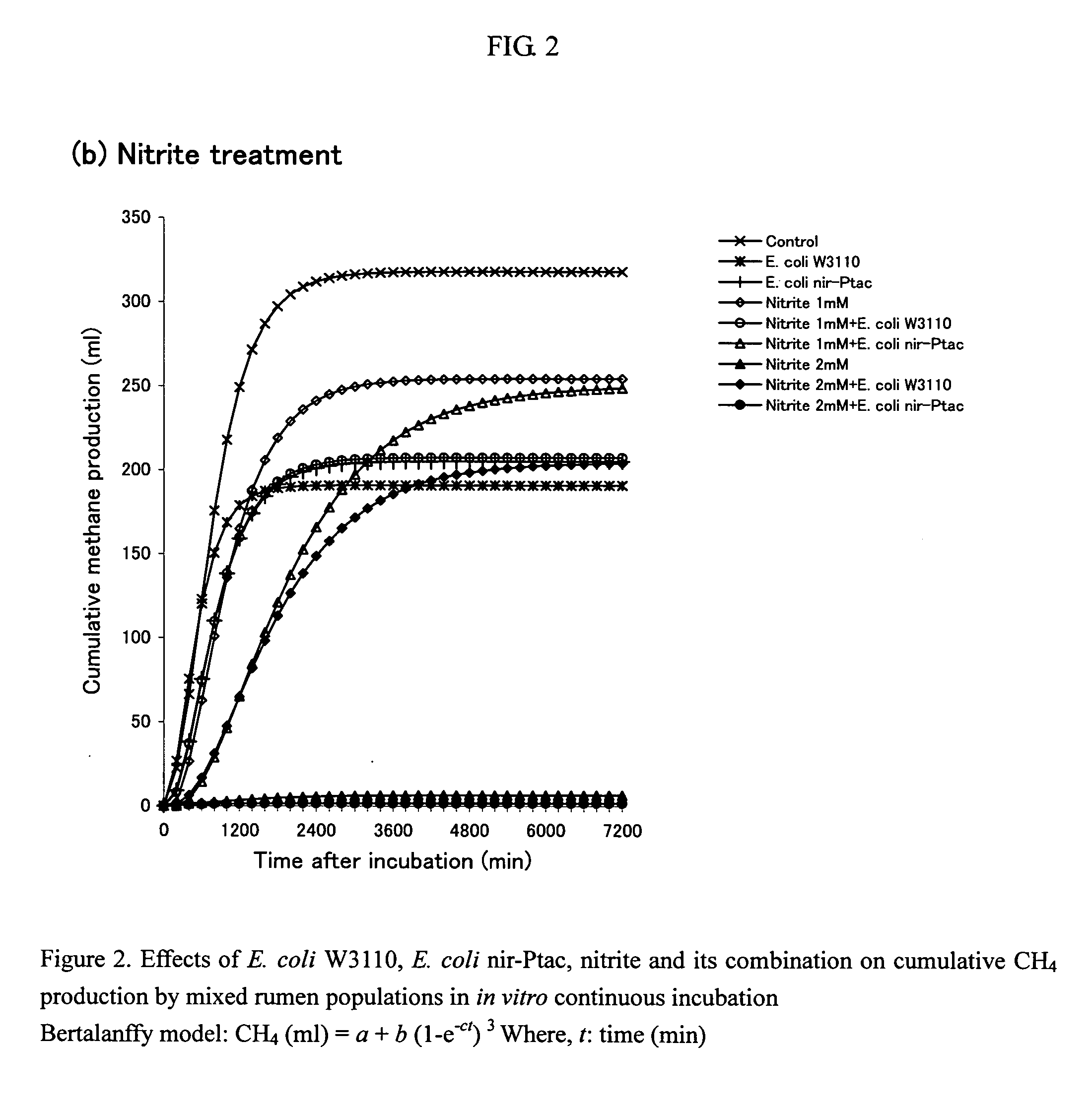 Feed composition for ruminants