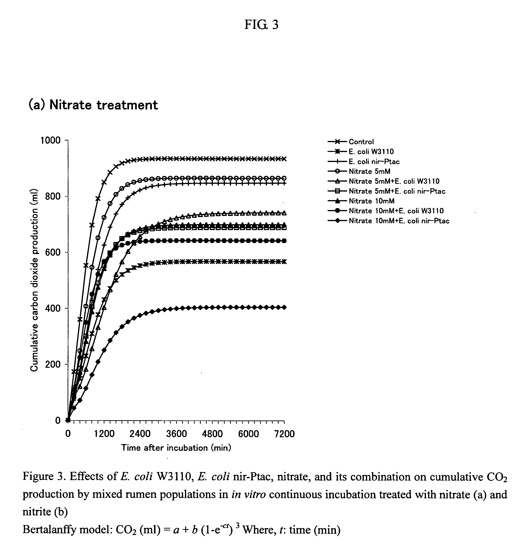 Feed composition for ruminants