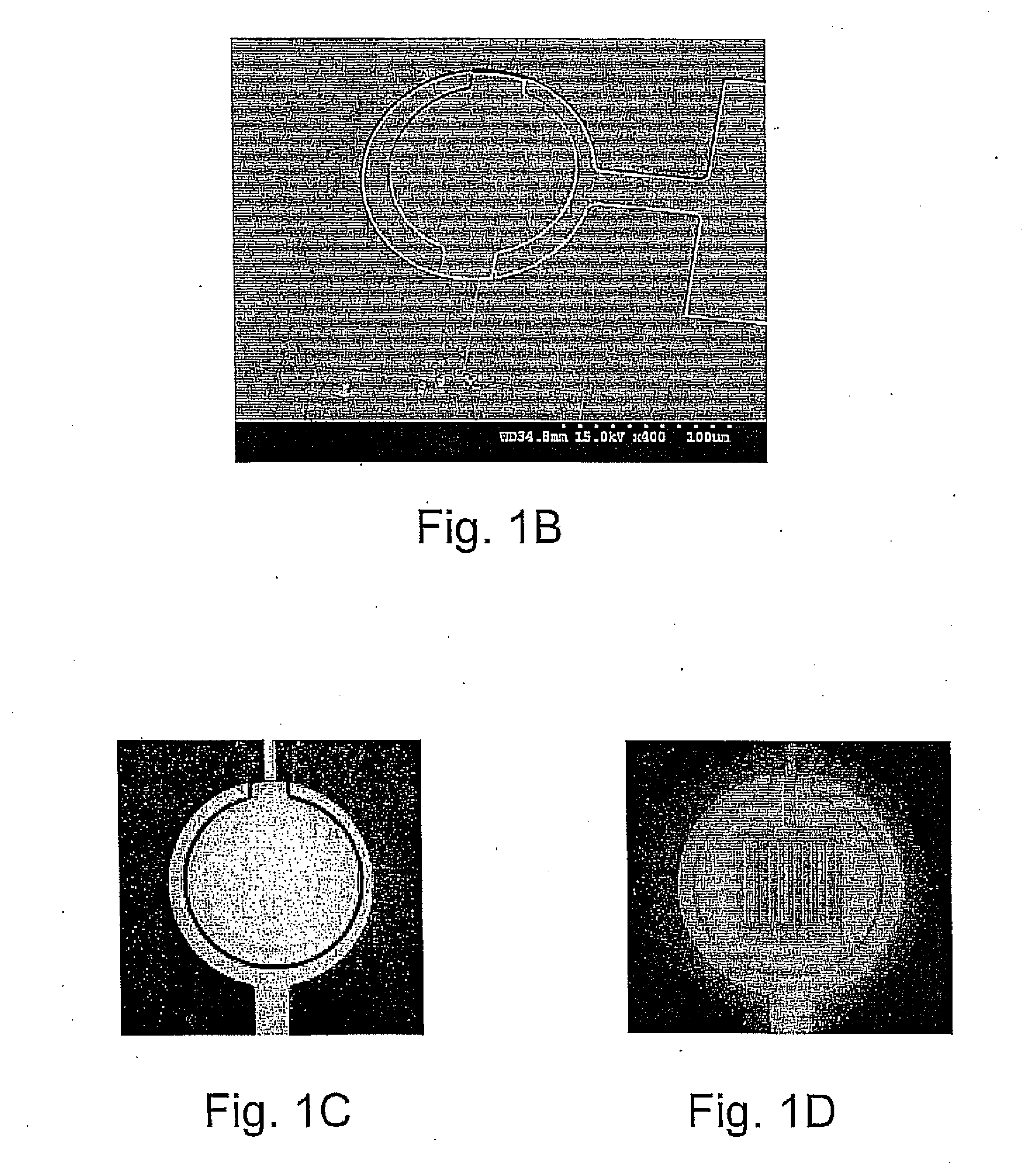 Methods of imaging in probe microscopy