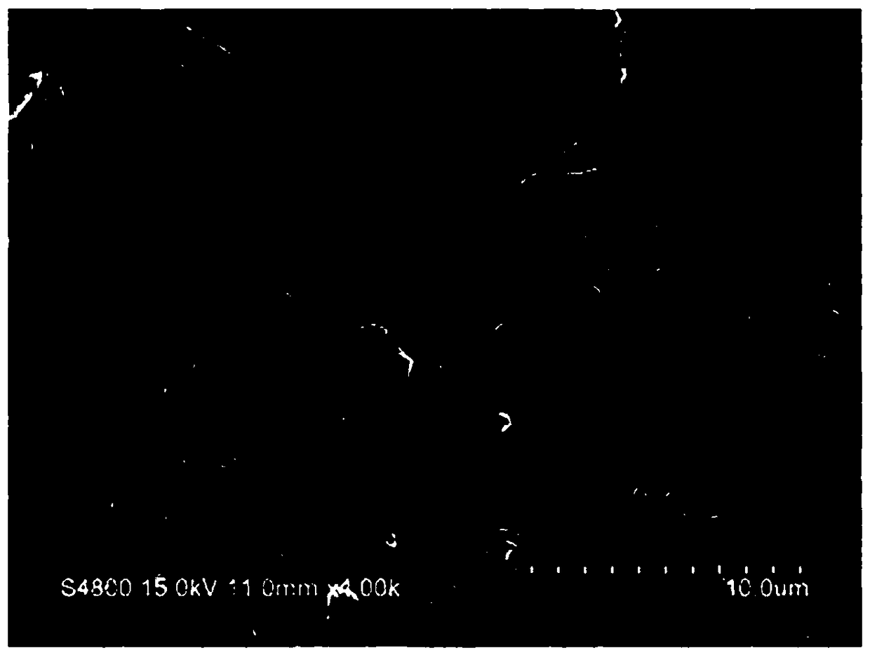 Biomass charcoal/iron oxide composite material and preparation method thereof