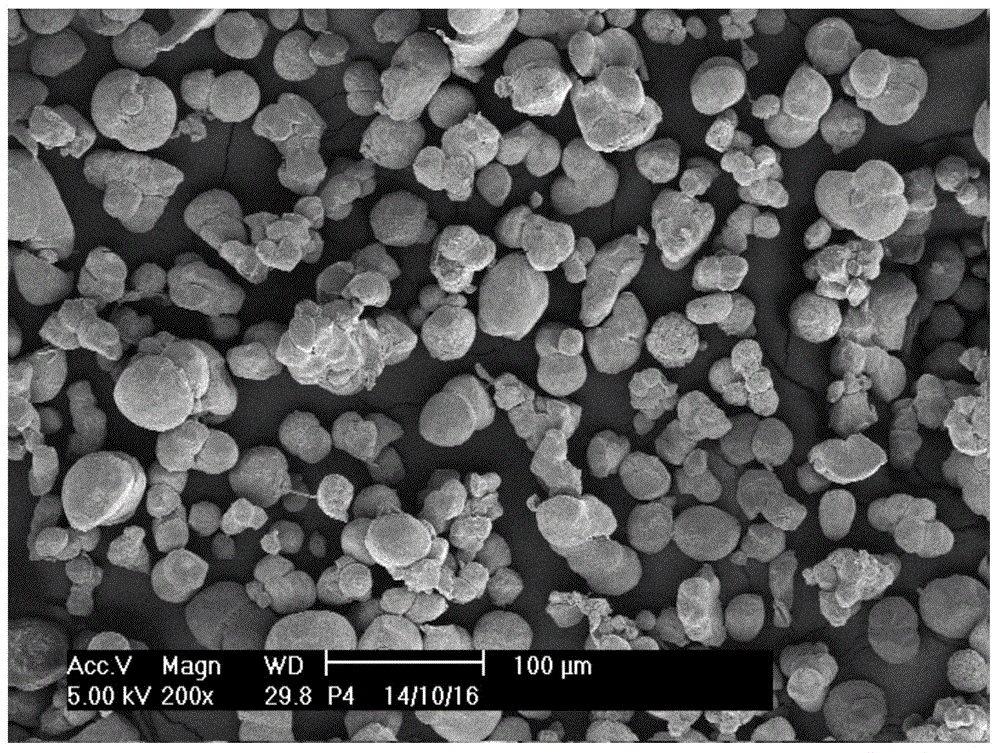 Polylactic resin powder for selective laser sintering and a preparation method thereof