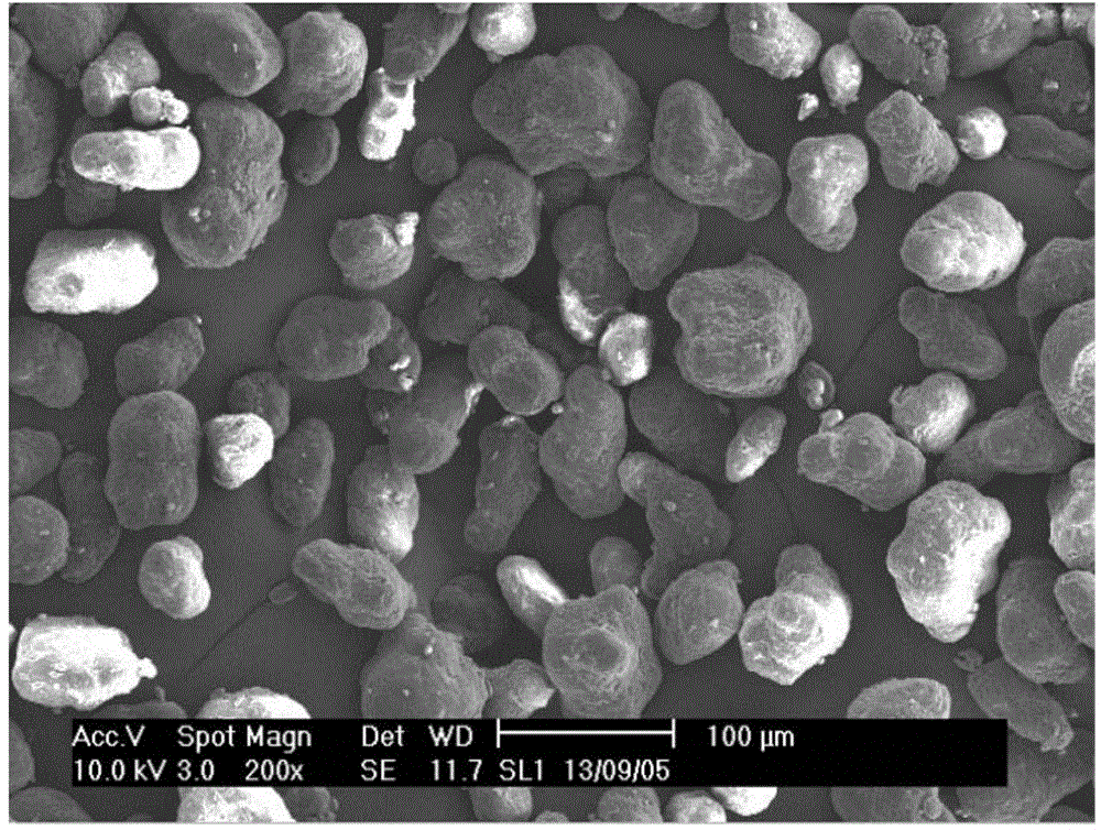 Polylactic resin powder for selective laser sintering and a preparation method thereof