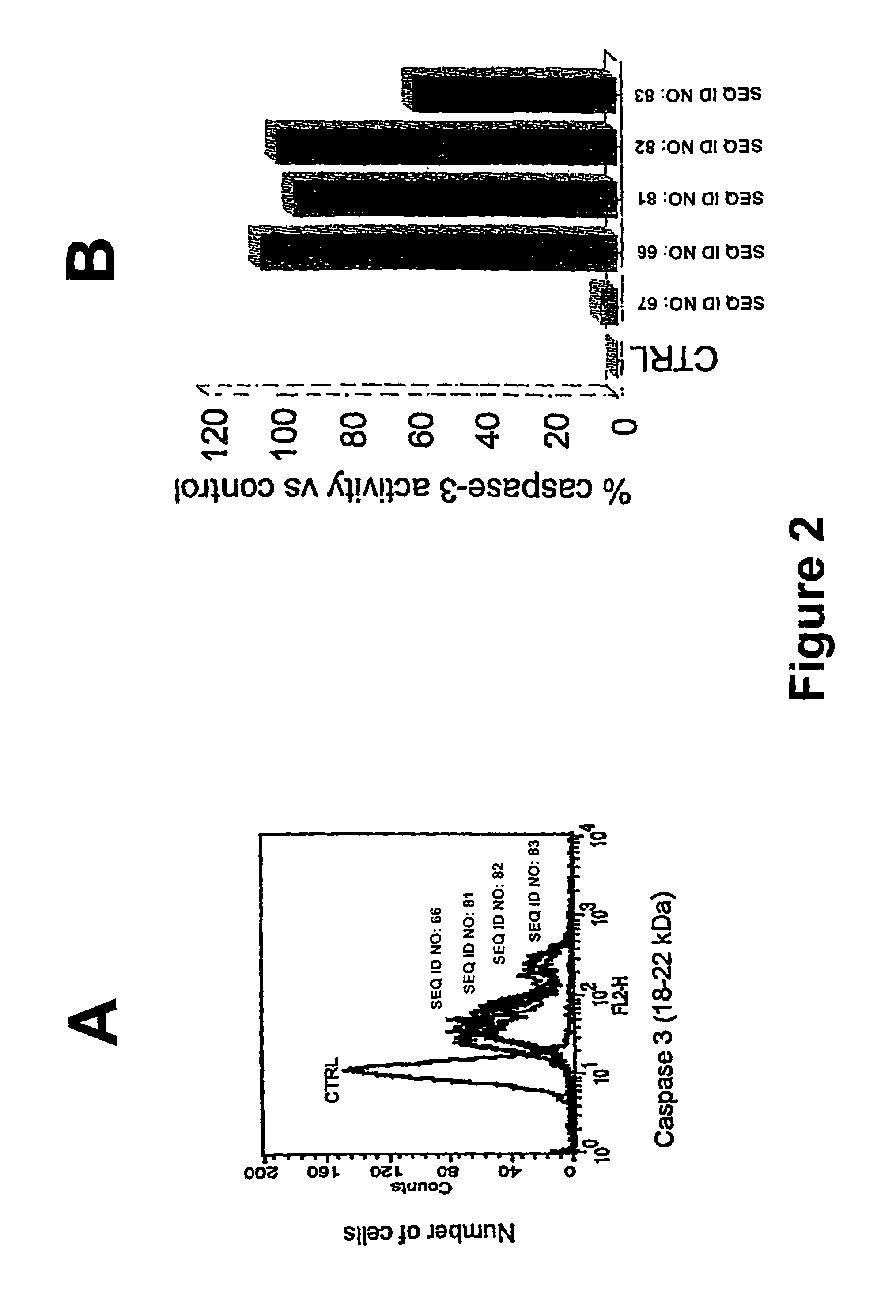 Therapeutically useful synthetic oligonucleotides