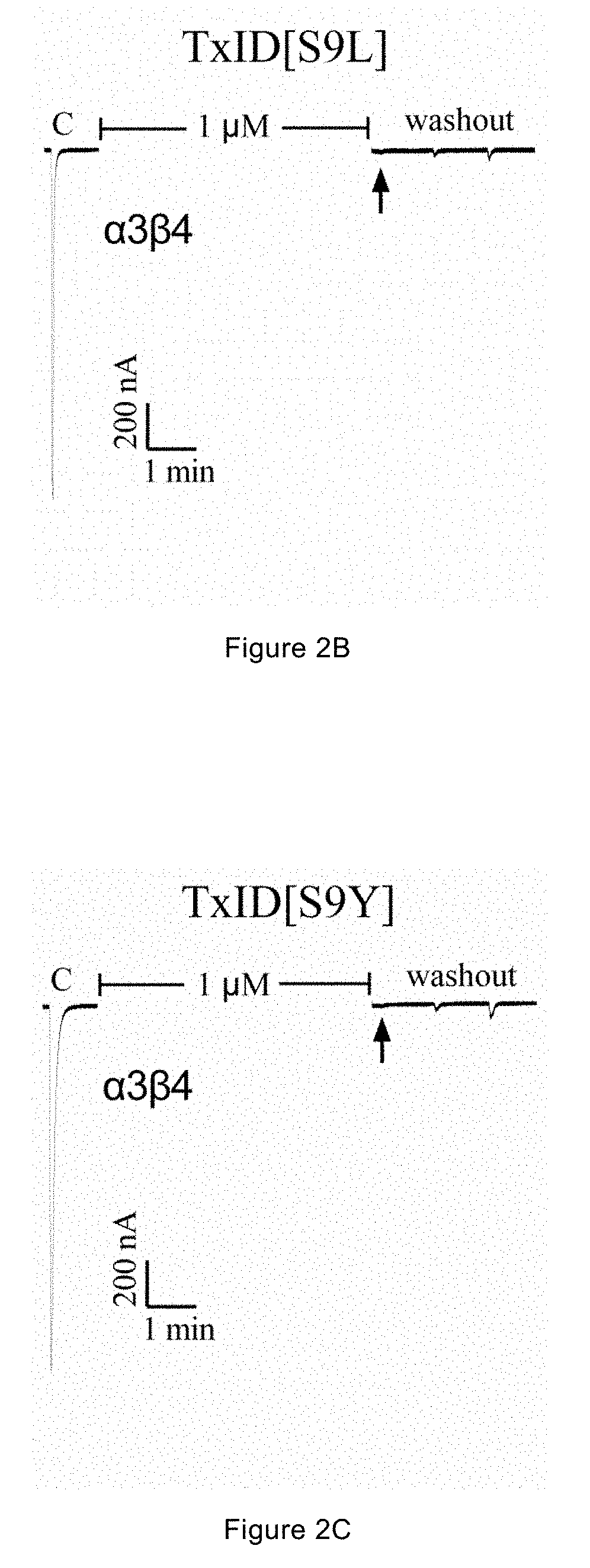 NOVEL MUTANT OF a-CONOTOXIN PEPTIDE TxID, PHARMACEUTICAL COMPOSITION AND USE THEREOF