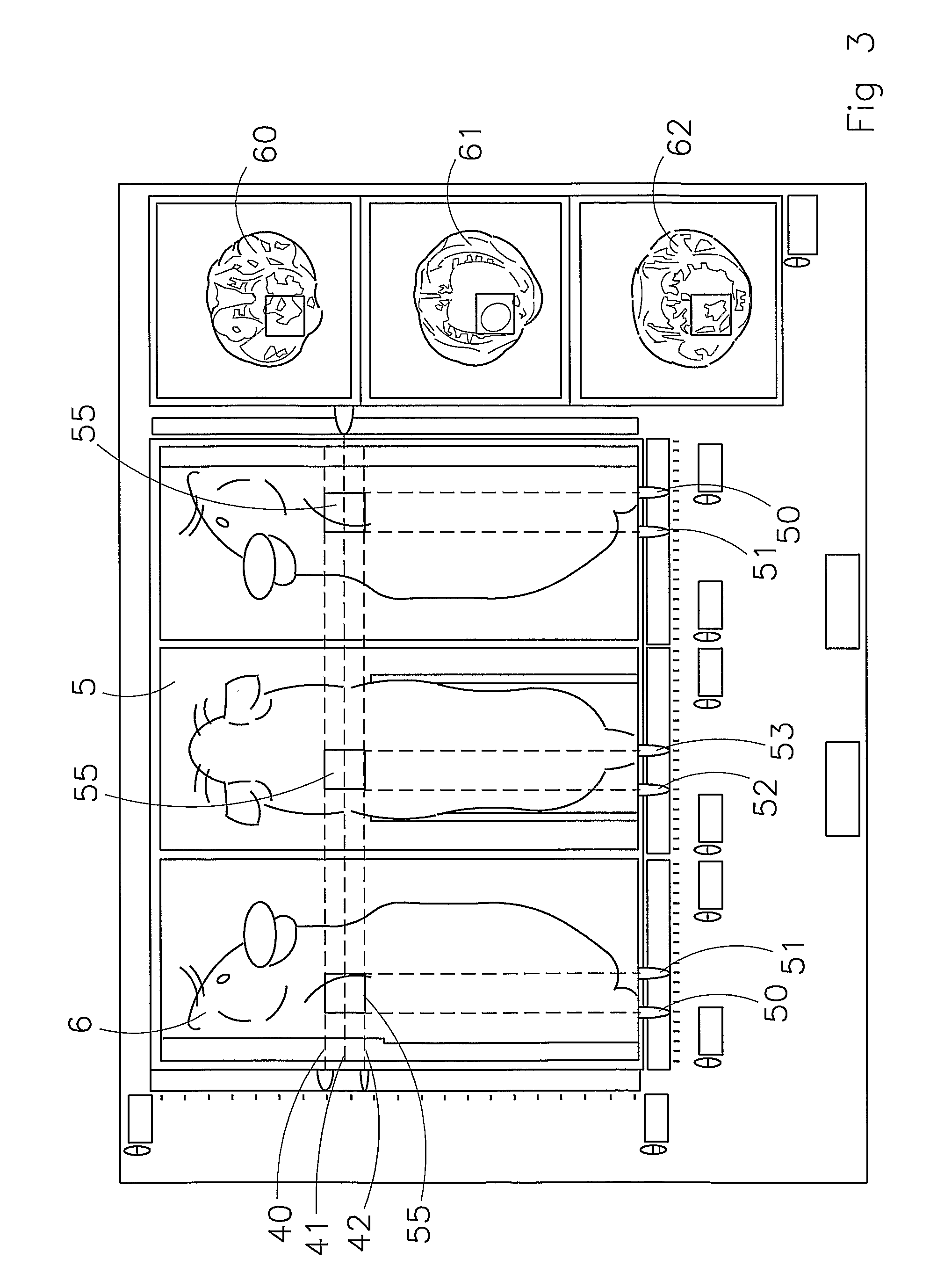 Gamma image detection device