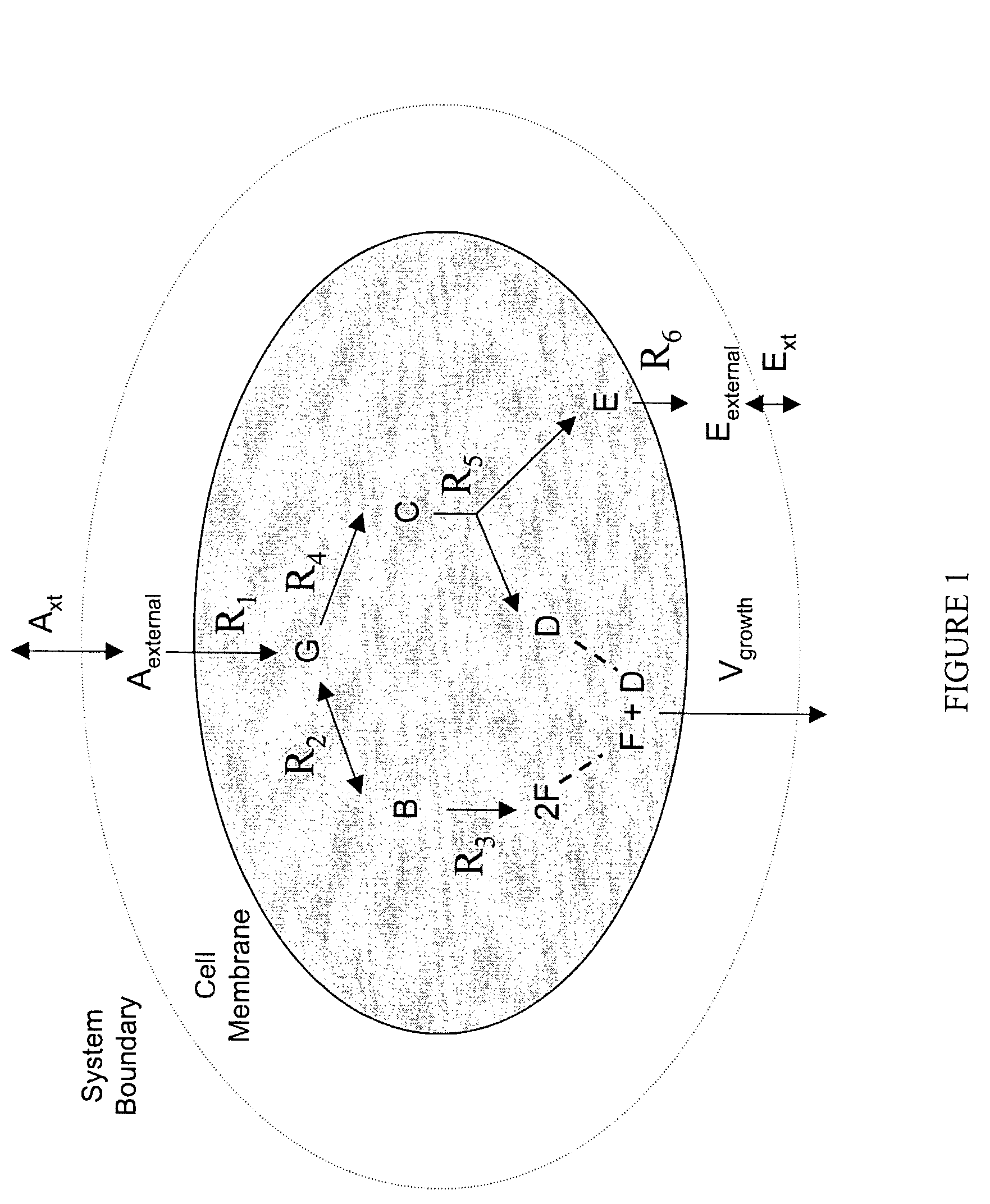 Human metabolic models and methods