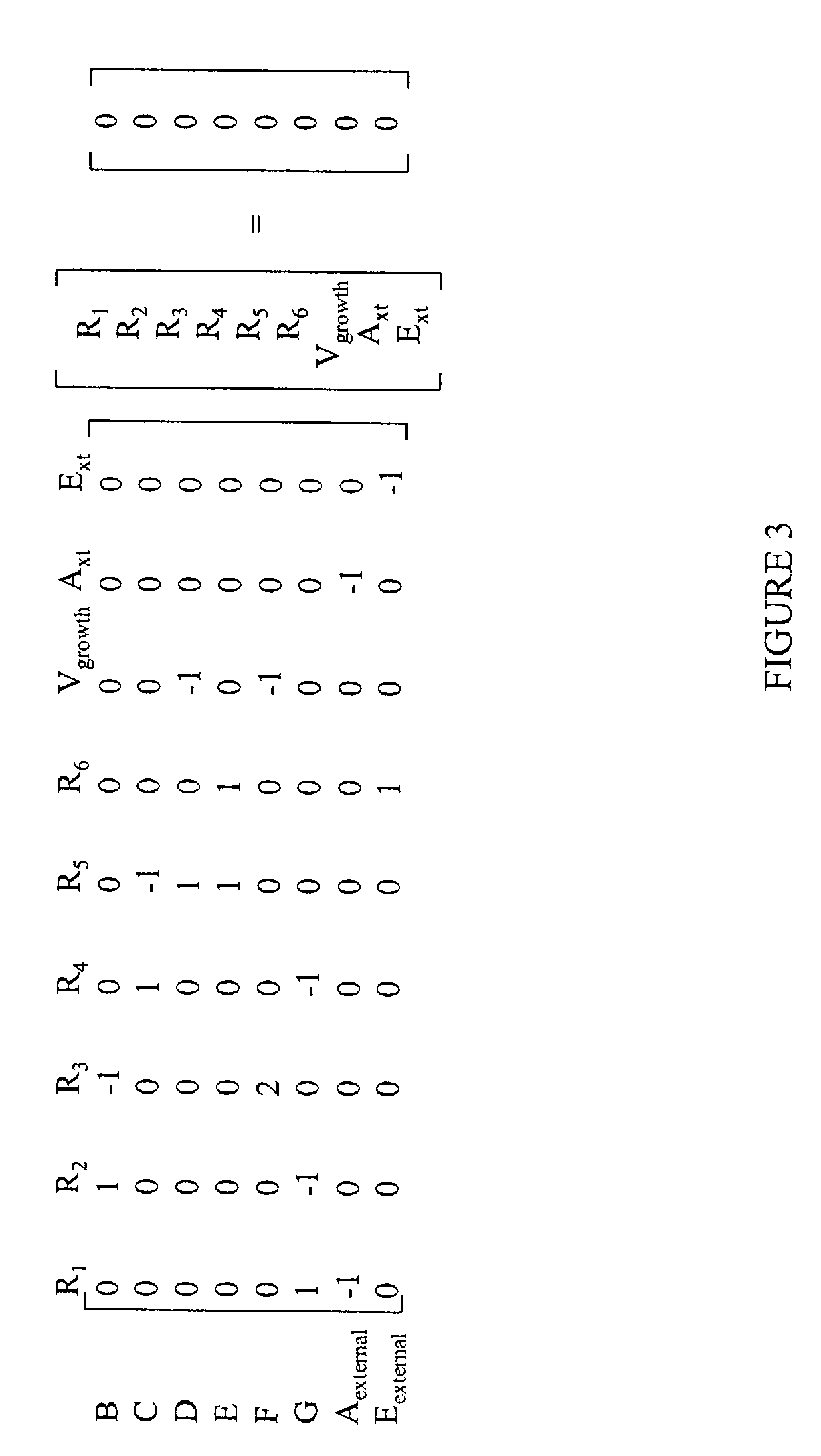 Human metabolic models and methods