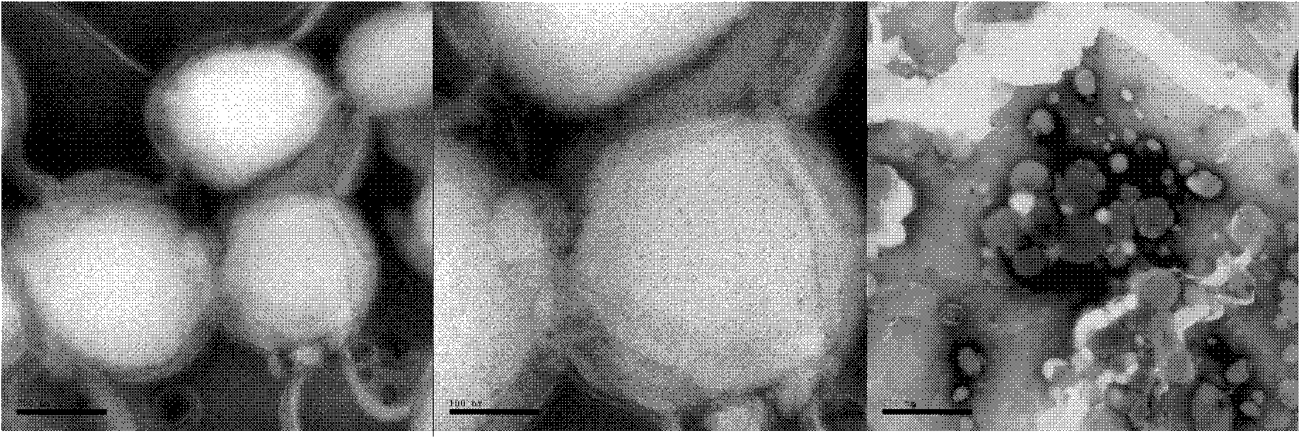 Compound sulfamonomethoxine sodium multivesicular liposome and preparation method thereof