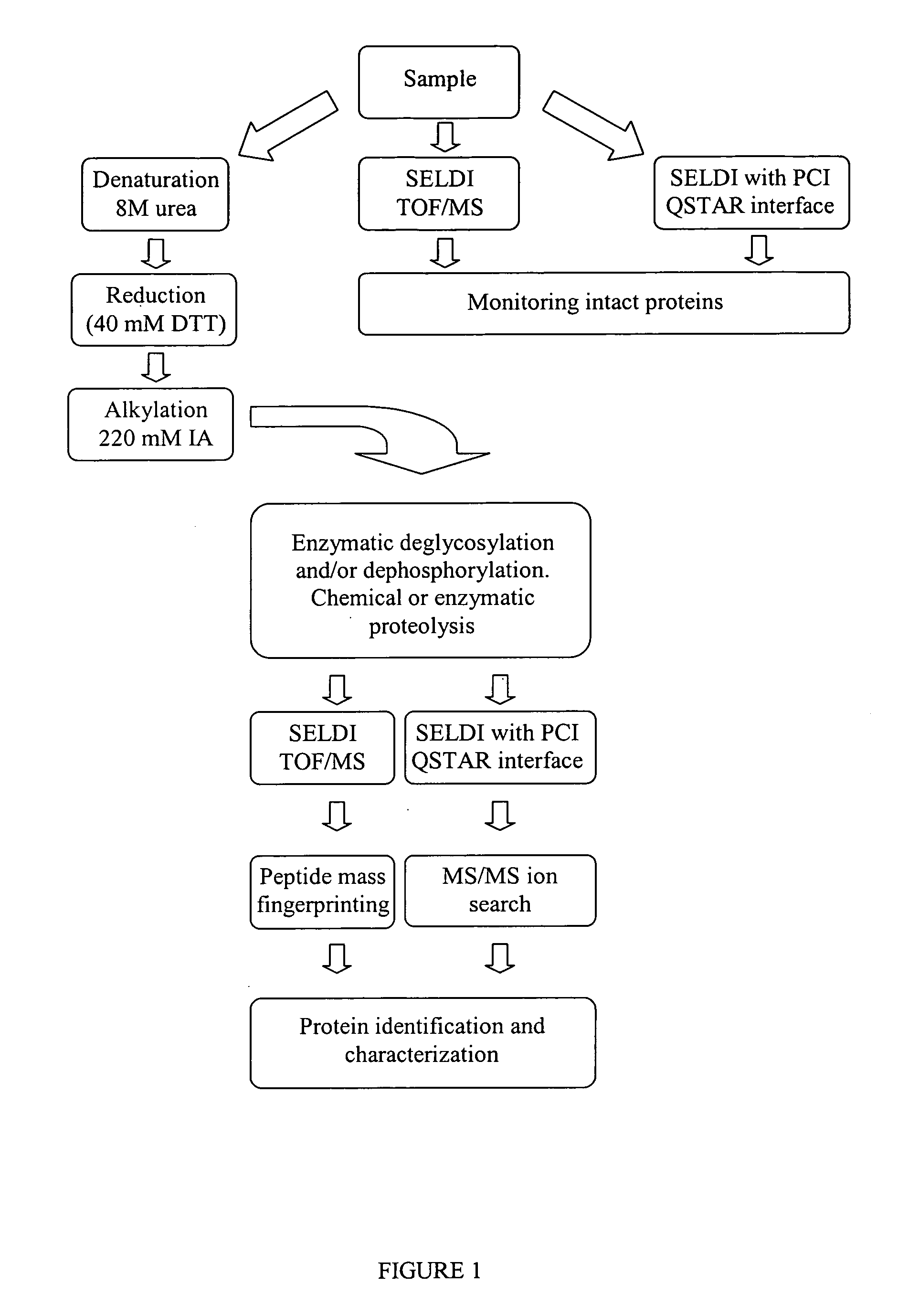 Complete chemical and enzymatic treatment of phosphorylated and glycosylated proteins on protein chip arrays