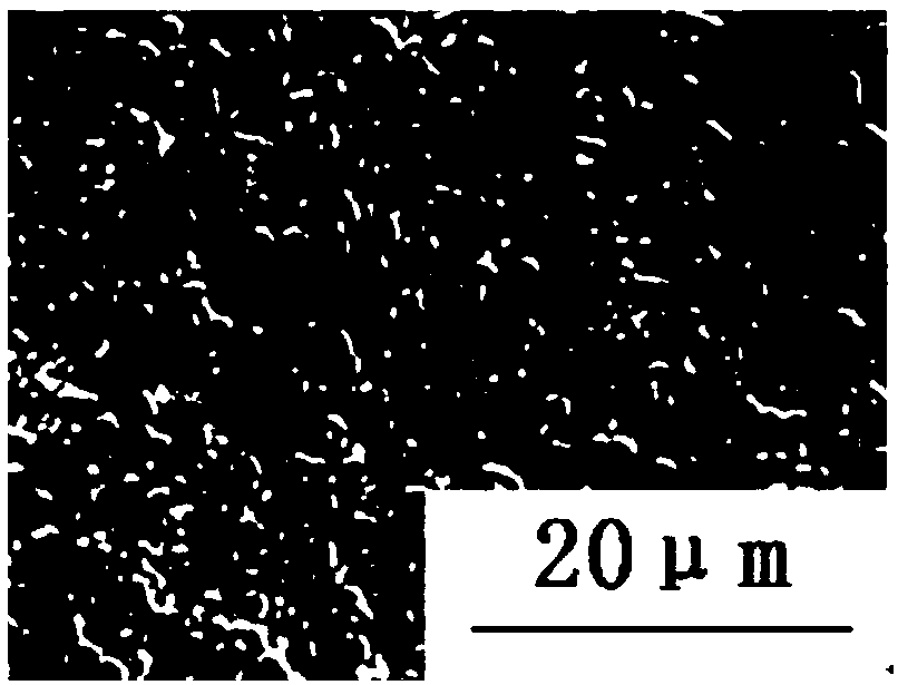 Gold phase tissue method for displaying martensite-austenite phase of steel