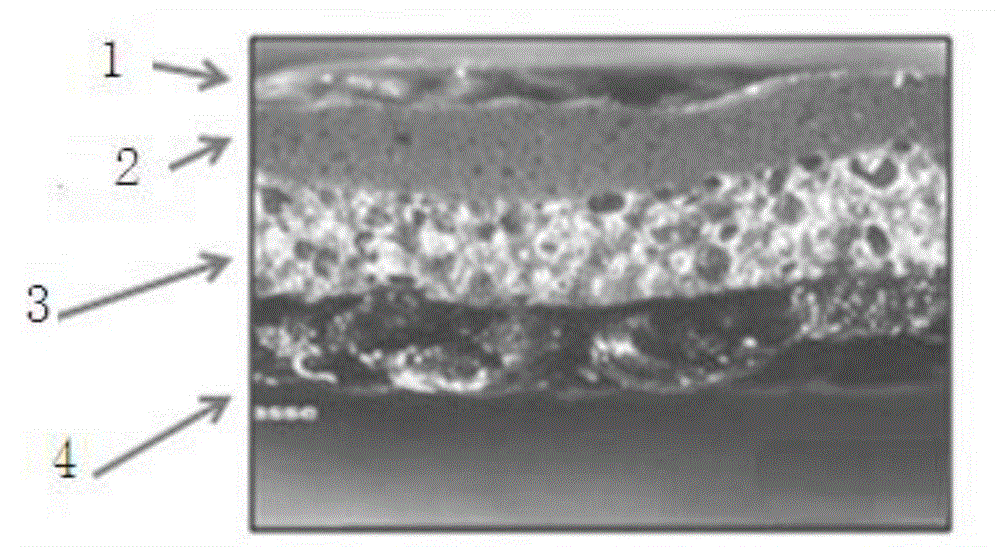 Jean-pollution-preventing PVC artificial leather and preparation method thereof