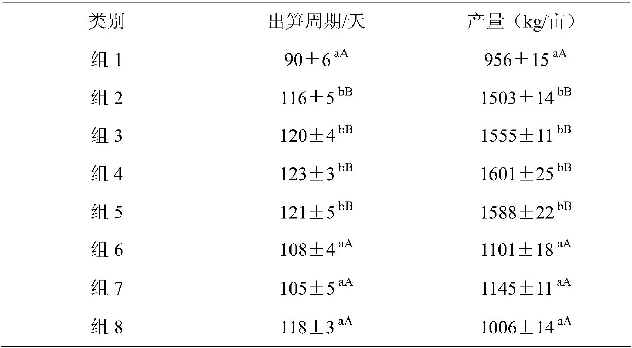 Planting method of Guilin yellow bamboo shoots