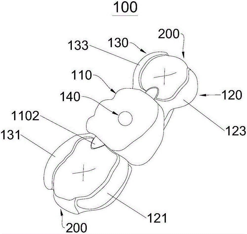 Fixed denture and preparation method thereof