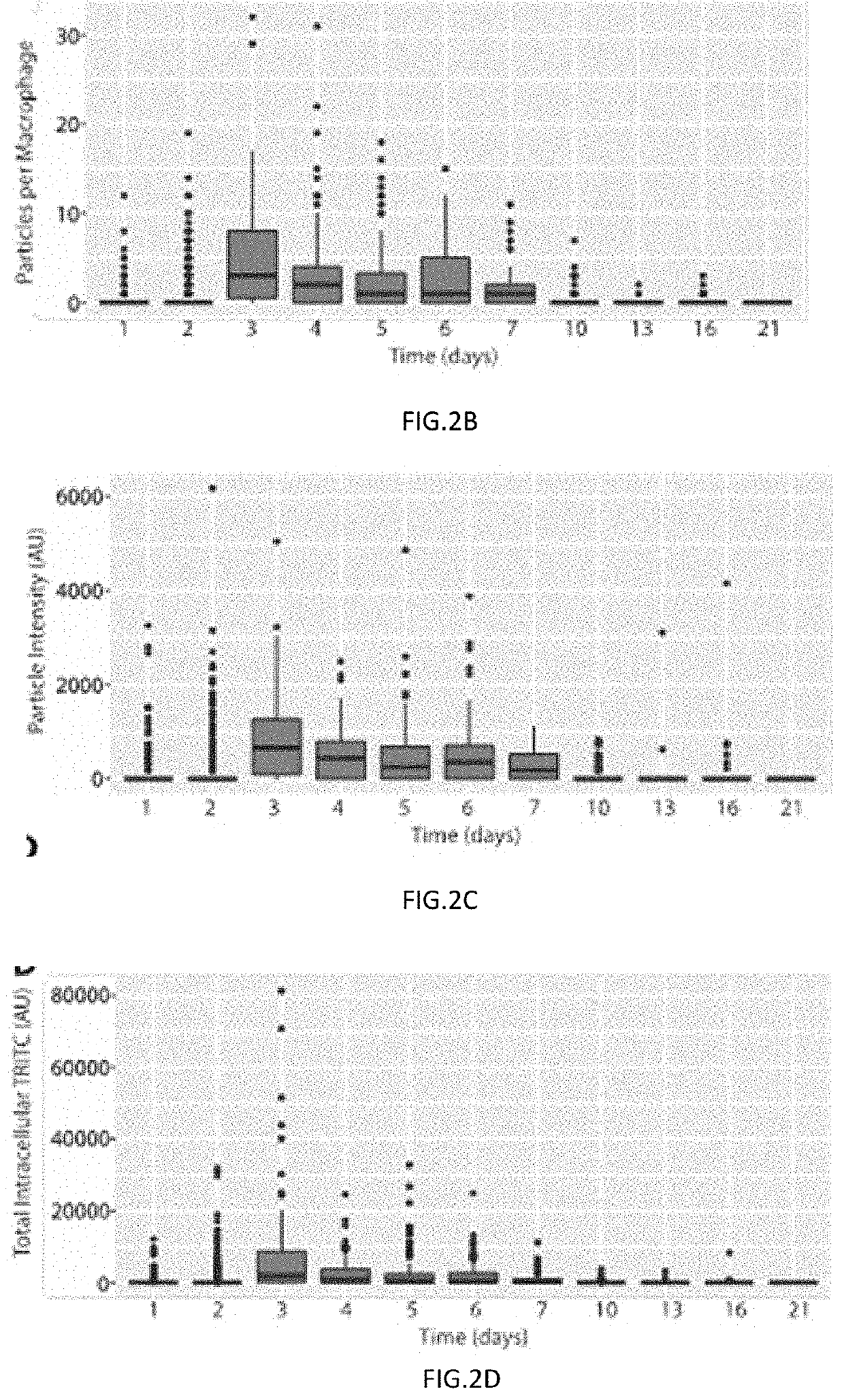 Utilizing the innate immune system to deliver therapeutic agents