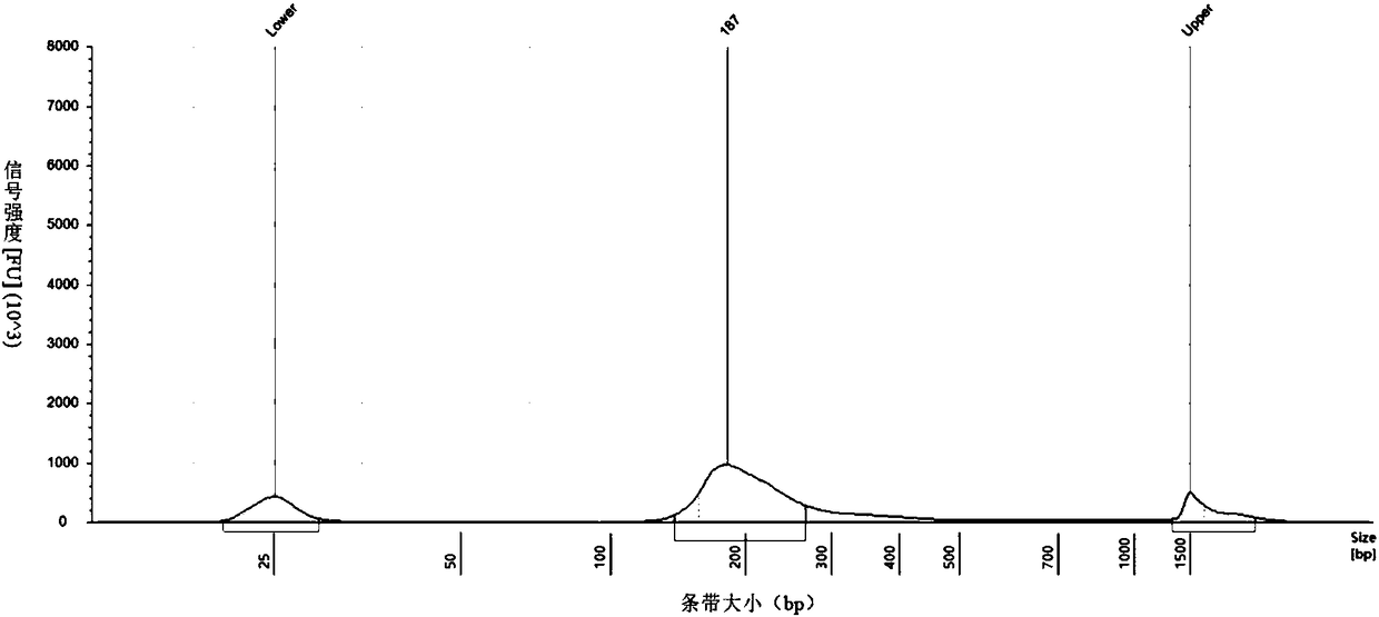 Primer-probe composition for detecting PIK3CA gene at E545K site and detecting method thereof