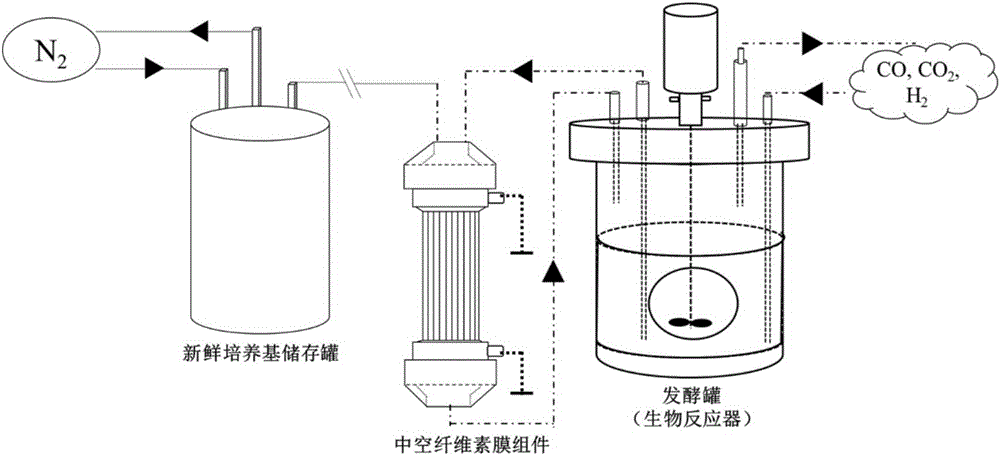 Method for improving fermentation efficiency of anaerobic qi-eating microorganisms