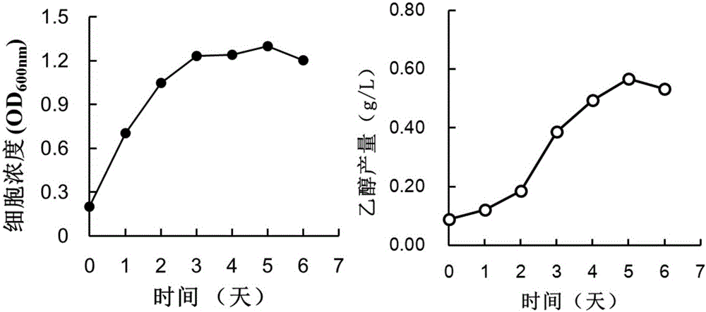 Method for improving fermentation efficiency of anaerobic qi-eating microorganisms