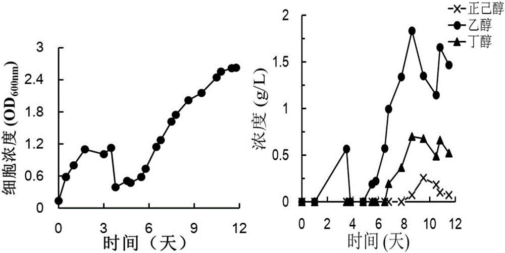 Method for improving fermentation efficiency of anaerobic qi-eating microorganisms