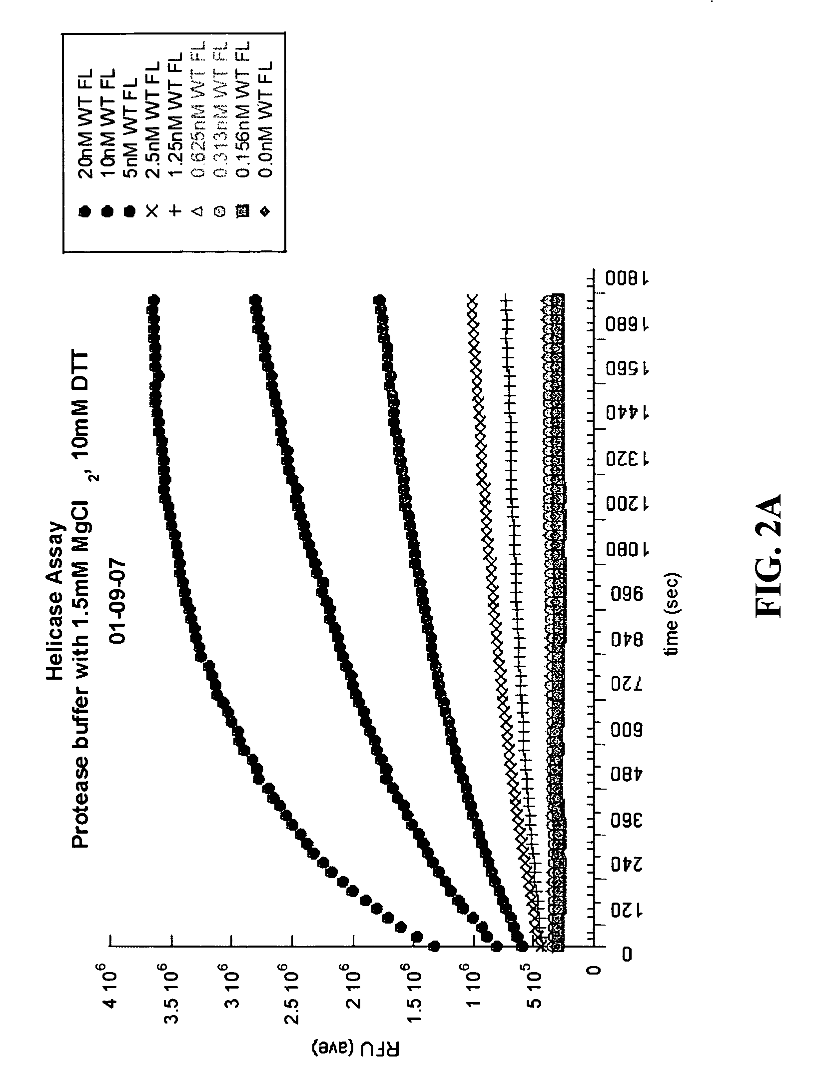 Novel inhibitors of hepatitis c virus replication