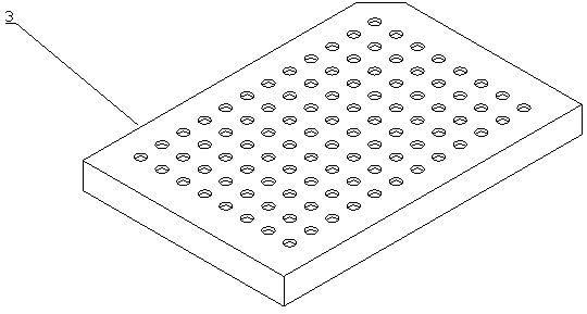 Batch and fast DNA extraction method and extraction device