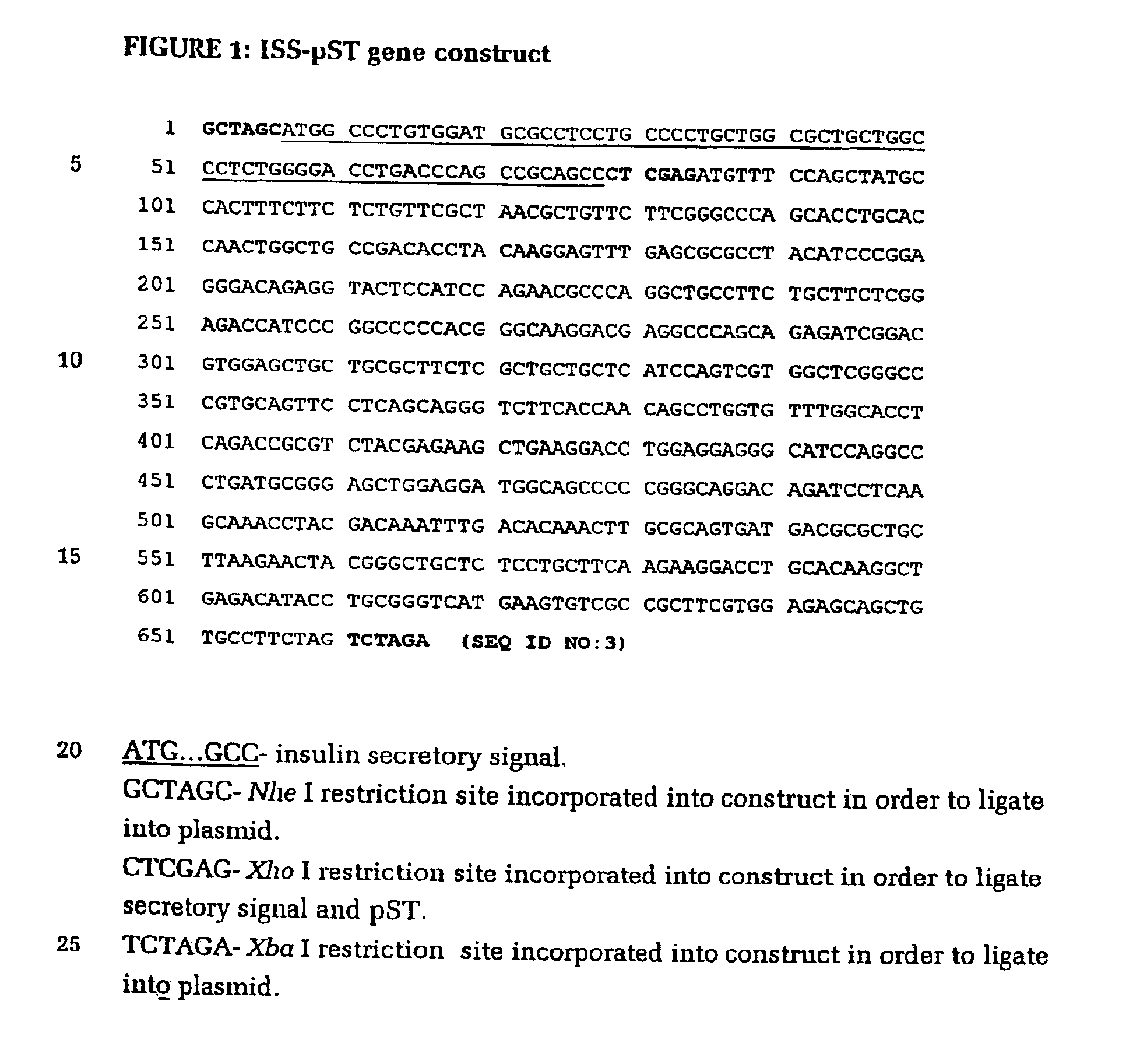 Delivery system for porcine somatotropin