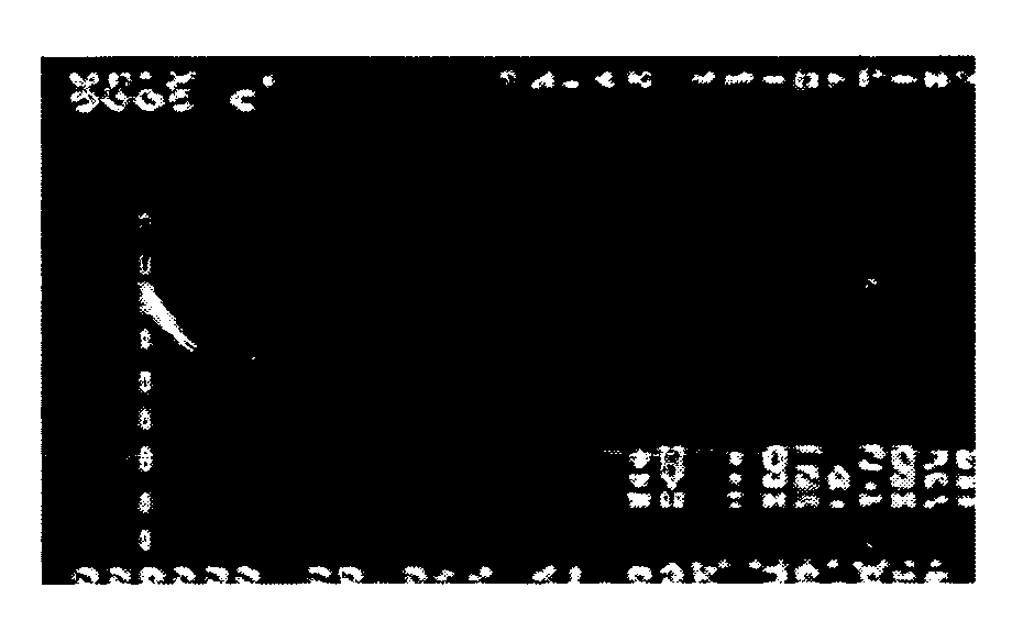 Printing plate, method of fabricating the same, and method of fabricating flat panel display using the same