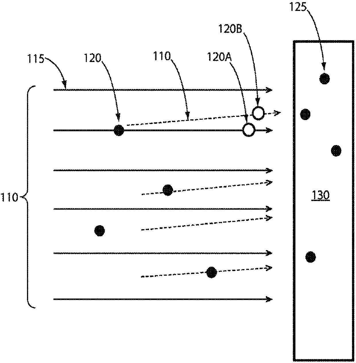 Systems and methods for collecting a species