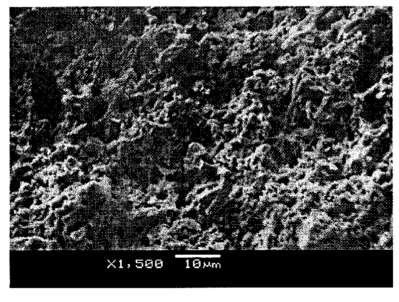 Biological filter material by utilizing sugar mill mud and method