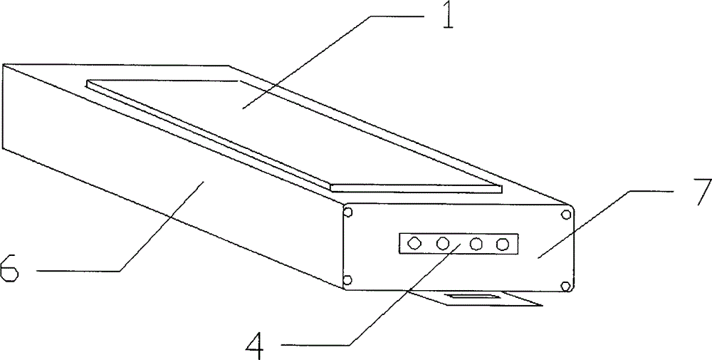 Miniature electronic scale capable of reflecting dust accumulation amount