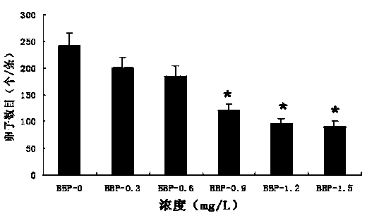 Application of zebra fish in detection of reproduction toxicity of BBP (Butyl Benzyl Phthalate) and method for rapidly detecting reproduction toxicity of BBP