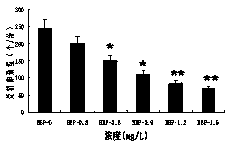 Application of zebra fish in detection of reproduction toxicity of BBP (Butyl Benzyl Phthalate) and method for rapidly detecting reproduction toxicity of BBP