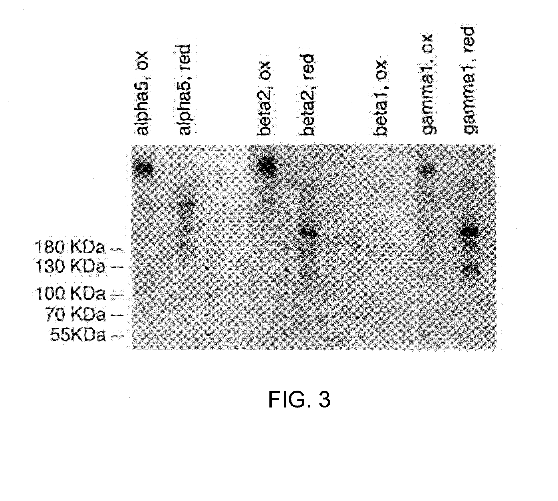 Methods of enhancing genetic diagnosis