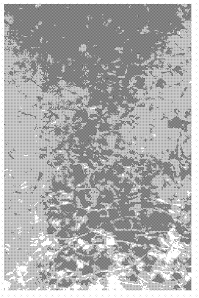 Preparation method for coating decorative glass with crack coating