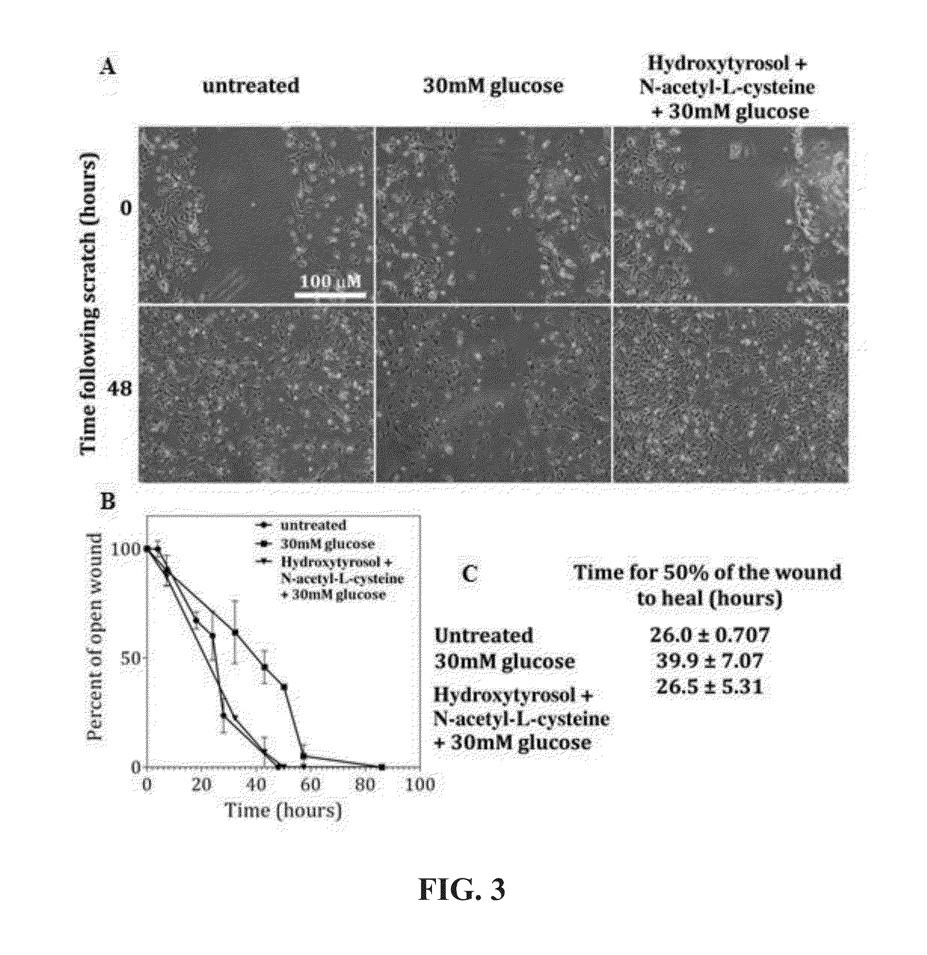 Methods for improved wound closure employing olivamine and human umbilical vein endothelial cells